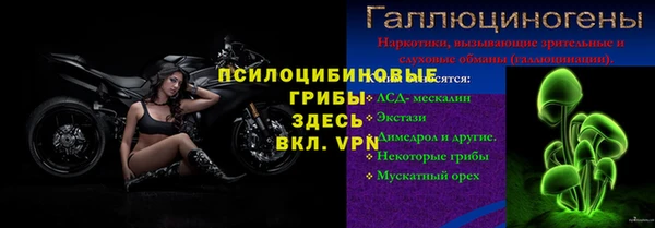 дмт Верея