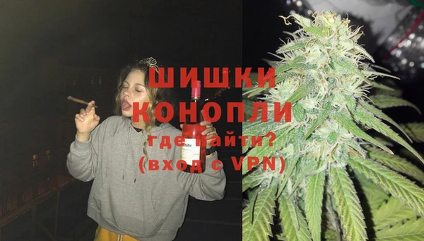 дмт Верея