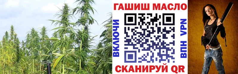 ТГК Wax  Чердынь 