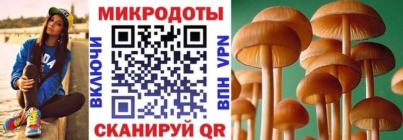 ссылка на мегу tor  Чердынь  Псилоцибиновые грибы мухоморы  где найти  